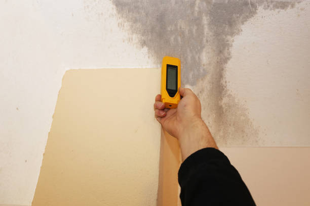 Best Asbestos and Lead Testing During Mold Inspection  in Vandenberg Af, CA