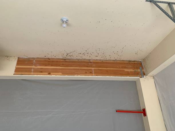 Best Dehumidification Services  in Vandenberg Af, CA